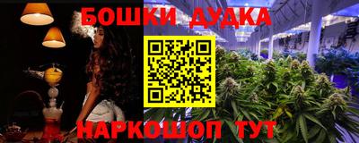 гидра Заволжье
