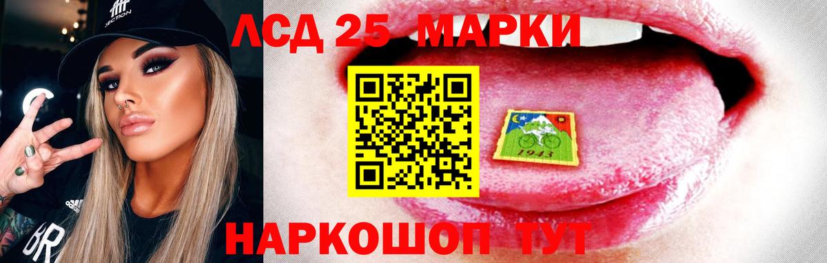 Курчалой  ЛСД экстази  Вход с VPN  LSD-25 экстази кислота  Лсд 25 экстази кислота 
