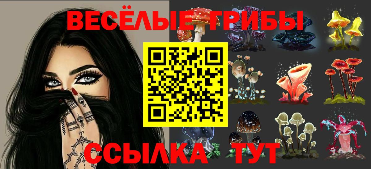 Курчалой  Псилоцибиновые грибы Psilocybine cubensis  Вход с VPN  Псилоцибиновые грибы ЛСД 