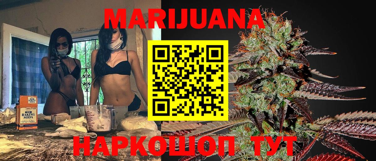 Конопля индика Курчалой